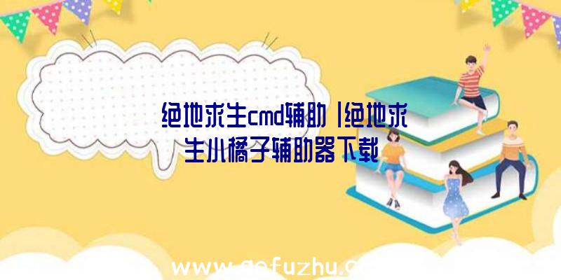 「绝地求生cmd辅助」|绝地求生小橘子辅助器下载